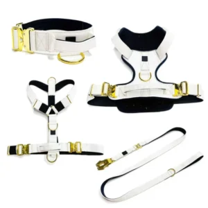 Dog Harness Set Collar Dog Adjustable Dog Leash Adjustable Dog Collar Adjustable Dog Bowl Collar Leash for Dogs
