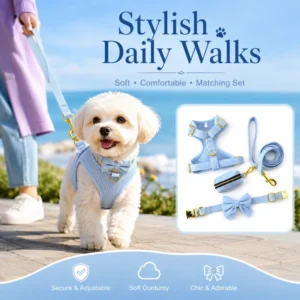 Dog Harness Set Luxury Corduroy Velvet Dog Harness with Pet Leashes and Collars Kit