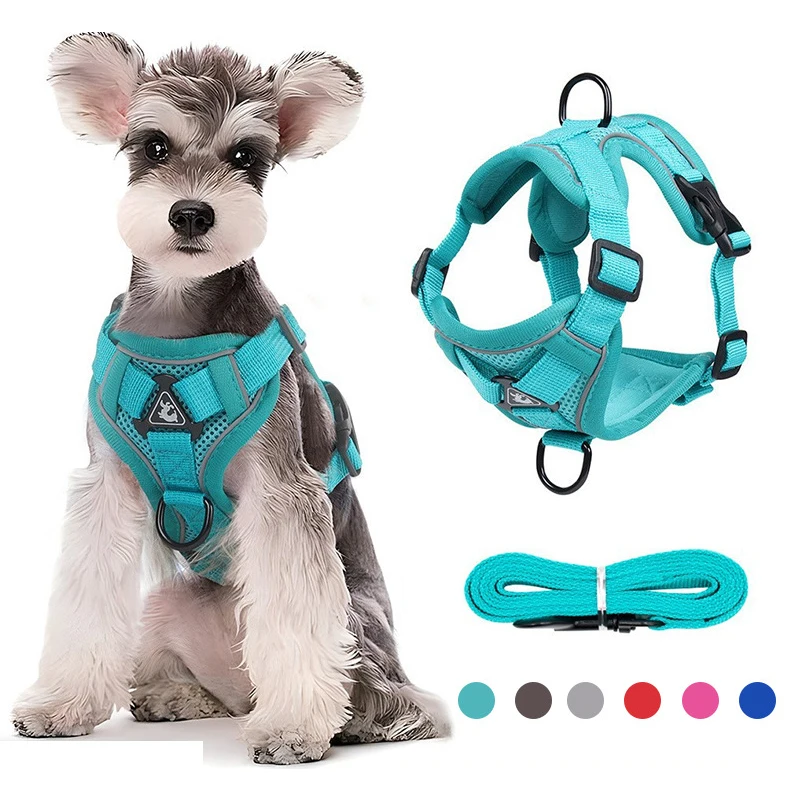 Dog Harness Set Luxury No Pull Pet Harness Vest Dog Leash Lead Set With Poop Bags Holder Pet Collar for Dog