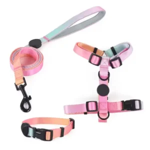Dog Harness Soft Padded Y Shape H Pet Harness Leash Collar Set 3 Point Harness Arnes Para Perros Custom No Pull Dog Harness