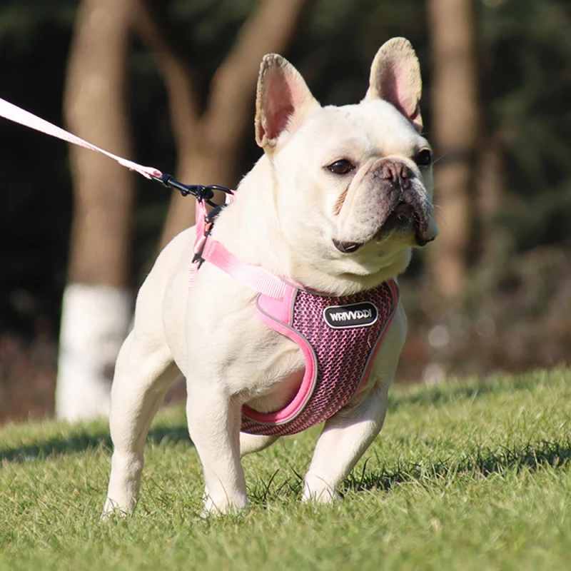 Dog Harness Vest Reflective Harness With Walking Lead Leash