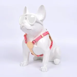 Dog Harness and Leash Adjustable Stocked Recycled Manufacture Small Medium Pet Chest Walking Outdoor
