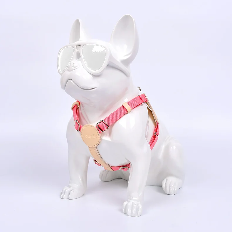 Dog Harness and Leash Adjustable Stocked Recycled Manufacture Small Medium Pet Chest Walking Outdoor