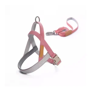 Dog Harness and Leash Oem Manufacturer Sublimation Cat Bow Tie Collars Dog Collar with Led