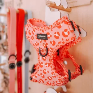Dog Harness and Leash Set Adjustable Dog Harness No Pull No Choke Puppy Harnesses for Walking for Small Medium Large Pet