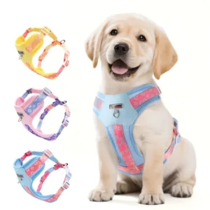 Dog Harness and Leash Set Adjustable Pet Harness Vest for Small Medium Dogs Pet Collar Dog Chest Strap Outdoor Supplies