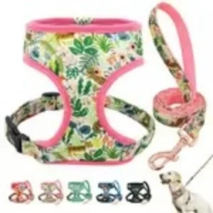 Dog Harness and Leash Set for Dogs & Cats Breathable Cotton Adjustable Durable Customized Color & Logo Fashion Design
