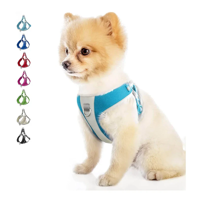 Dog Harness