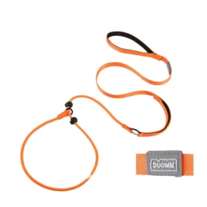 Dog Leash Anti Pull Slip Lead Reflective Thread All in One Training Comfortable Nylon Fashion No Choke P Chain Walking Control