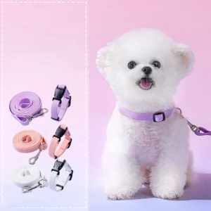 Dog Leash & Collar Set Macaron Style for Small Medium Dogs Teddy Bear Pet Walking Supplies