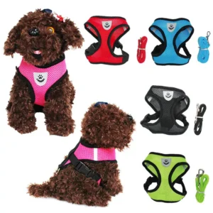 Dog Leash Durable Comfortable Pet Chest Breathable Harness Collar Outdoor Dog Walking Gadget Manufacturer