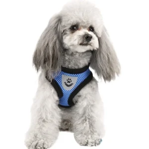 Dog Leash Harness Dog Collar Small Dog Harness for Teddy Bichon Simple Style Dog Walking Leash Polyester Cat Pet Supplies