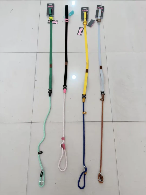 Dog Leash Pet Dog