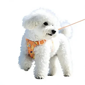 Dog Leash Vest Style Harness for Small Dogs Polyester Material Adjustable Elasticity Comfortable Stress Relief Pet Walking Leash