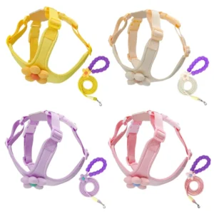 Dog Leash Vest Style Pet Harness for Small and Medium Dogs Cute Dog Walking Leash