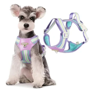 Dog Leash Vest style Pet Harness Reflective and Breathable Dog Walking Leash for Small Dogs