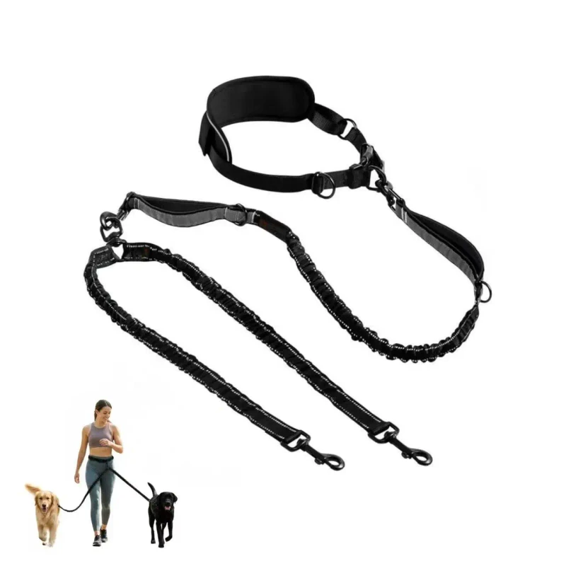 Dog Leash