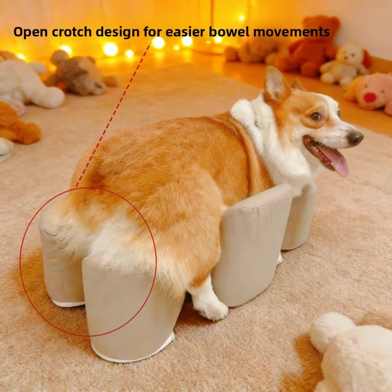 Dog Support Stool for Paralyzed and Elderly Disabled Dogs Durable Outdoor Living Room Pet Rest Pad with Stable Design