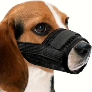 Dog Training Behavior Mouth Eco friendly Polyester Model