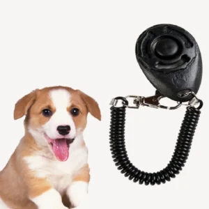 Dog Training Clicker Pet Training Device Dog Supplies