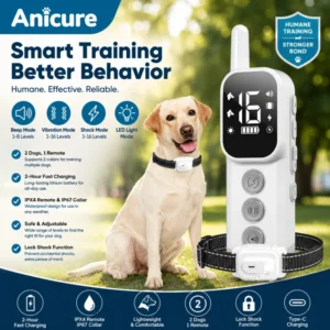 Dog Training Collar Manufacturer Supporting Distributor Seller and Pet Brand Customization