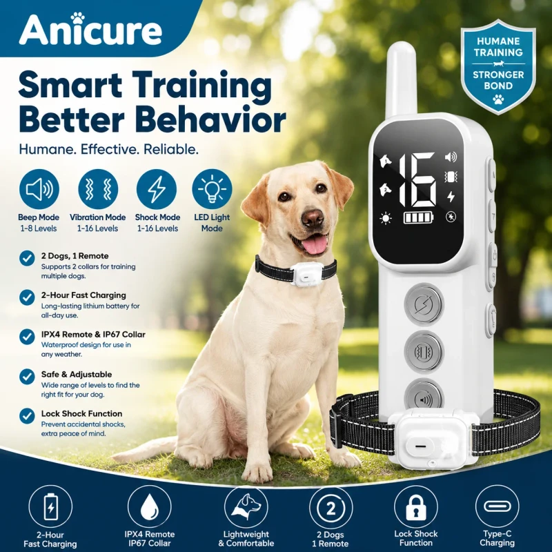 Dog Training Collar Manufacturer Supporting Distributor Seller and Pet Brand Customization