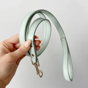 Dog Training Leash Leather Lead with Custom Logo for Outdoor Walking