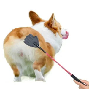 Dog Training Stick Model Pet Training Shot Zhejiang Made Dog Training Supplies Other Material