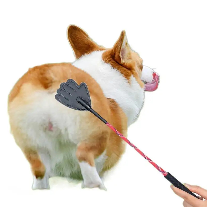 Dog Training Stick Model Pet Training Shot Zhejiang Made Dog Training Supplies Other Material