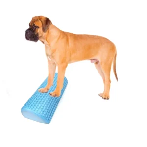 Dog Training Tool EVA Balance Disc for Strength Endurance Rehabilitation Physical Exercise Tool