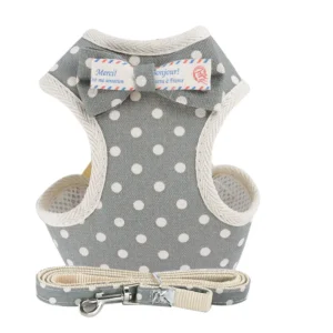 Dog Walking Vest Harness and Leash Set for Dogs and Cats with Bowknot