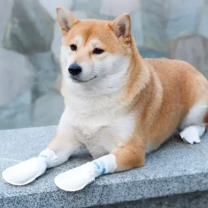Dogs Go Out Classic Disposable Socks & Shoes Waterproof Eco Friendly Dirt proof Soft Comfortable for Outdoor Use