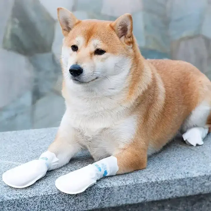Dogs Go Out Classic Disposable Socks & Shoes Waterproof Eco Friendly Dirt proof Soft Comfortable for Outdoor Use