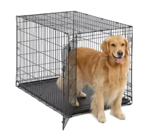 Double Door Pet Dog Kennel Crate Cage With Black Metal Foldable Heavy Duty Large 48inch