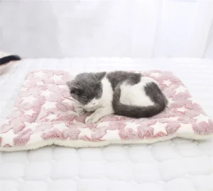 Double Sided Soft Flannel Cashmere Thickened Keep Warm Pet Beds Soft Fleece Pad Pet Blanket Bed Mat for Cushion Home Rug