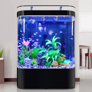 Double rounded Integrated Design Glass Aquarium Featuring a Rear Filtration System for Convenient Daily Management