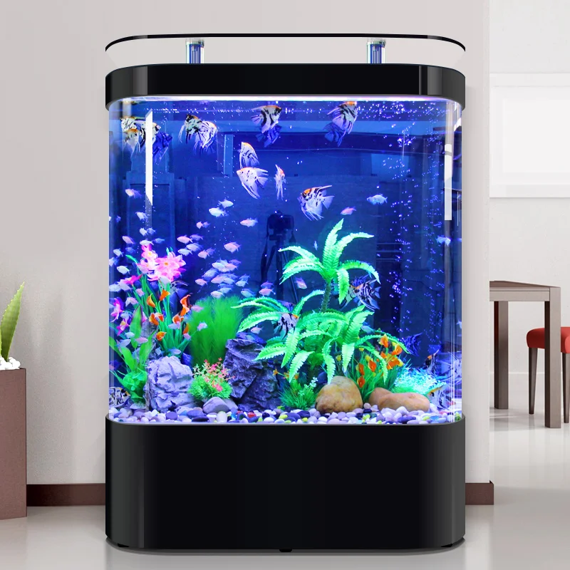 Double rounded Integrated Design Glass Aquarium Featuring a Rear Filtration System for Convenient Daily Management