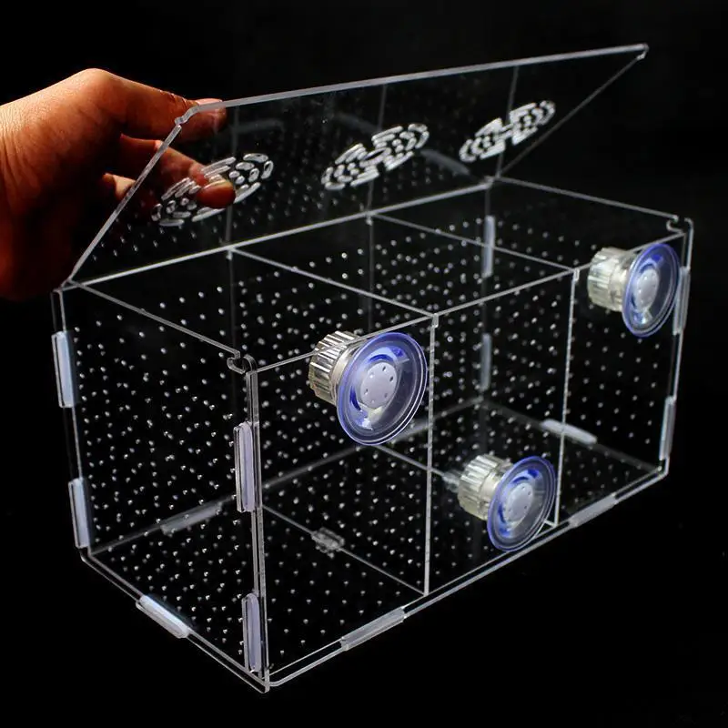 Dual Isolation Acrylic Fish Tank Board Large Small Sizes Aquarium Supplies Seed Breeding Aquarium Accessories