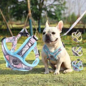 Durability Pet No Pull Training Harness with Secure Clasp High Visibility Reflective Vest Dog Harness Leash Set