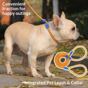 Durable Adjustable No Pull P Rope Collar Leash Combo Soft Nylon Training Lead for Dogs Cats Walking Control Solid Pattern