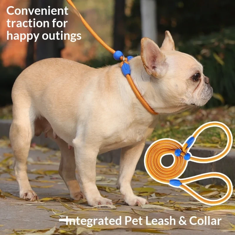Durable Adjustable No Pull P Rope Collar Leash Combo Soft Nylon Training Lead for Dogs Cats Walking Control Solid Pattern