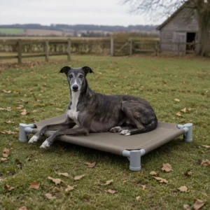 Durable Anti Slip Waterproof Elevated Pet Bed Dogs Cats Indoor Outdoor Use Breathable Oxford Fabric Removable Washable All