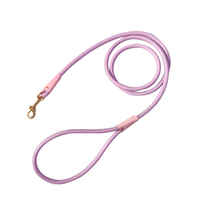 Durable Fashion Modern Striped PU Leather Handle Round Rope Dog Leash with Ribbons for Daily Walking Training Outdoor Activities