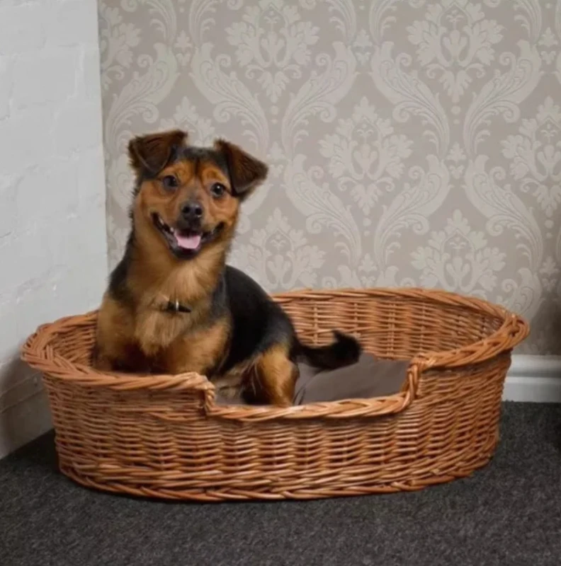 Durable Green Wicker Rattan Pet Dog Basket Solid Pattern Natural Weaving Nest Accessories with Thick Mat Big Bed House Accessory