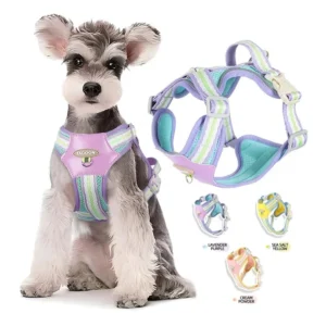 Durable No Pull Colorful Dog Harness Vest Set Adjustable Padded Pet Harness for Small Medium and Large Breed Dogs
