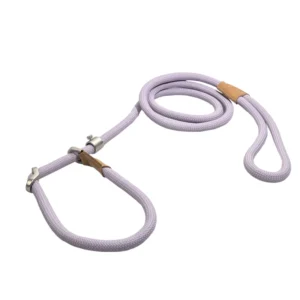 Durable No-Pull Polyester Fashion Striped Dog Walking Rope Adjustable P-Chain Style Pet Training Leash for Outdoor Walking