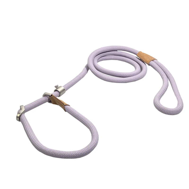 Durable No-Pull Polyester Fashion Striped Dog Walking Rope Adjustable P-Chain Style Pet Training Leash for Outdoor Walking