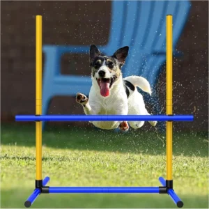 Durable Non Toxic Easy to Clean Pet Training Dog Agility Training Equipment for Dog Course Pet Socializing Walking