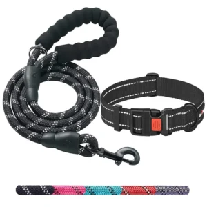 Durable Outdoor Training Dog Collar and Leash Set Luxury Dog Collars Cat Leashes Pet Supplies for Puppy Training Running Walking
