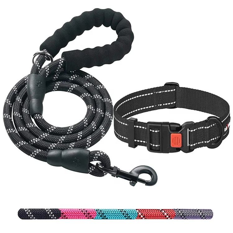 Durable Outdoor Training Dog Collar and Leash Set Luxury Dog Collars Cat Leashes Pet Supplies for Puppy Training Running Walking